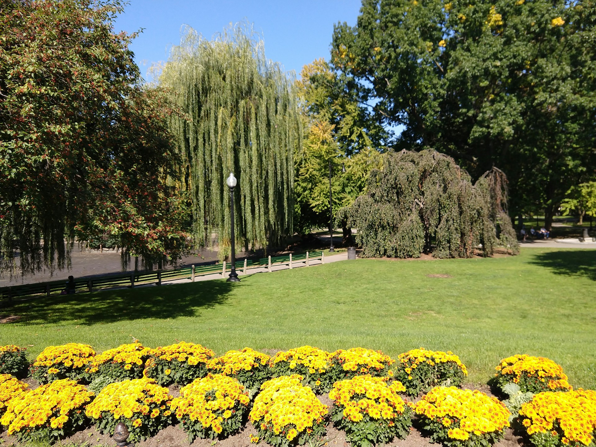 Beautiful park