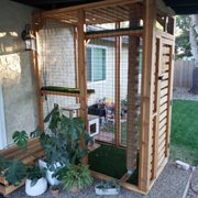 Redwood cat condo