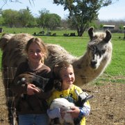 Kids enjoying the critters.