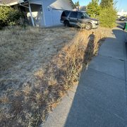 Customers front yard