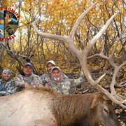 Nevada Guided Elk Hunts