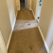 Destroyed hallway carpet