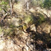 Upper Bidwell Park - Yahi Trail