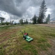 A large lot cleared with brush mower.