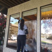 Window cleaning specialist