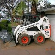 The Bobcat on East Avenue