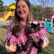 Delivery babies for Valentine's goat grams.