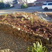 a bed of dirt with flowers in it