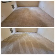Before and After on residential polyester carpet.