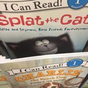 Barnes and Noble - Splat the Cat