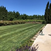a freshly mowed lawn