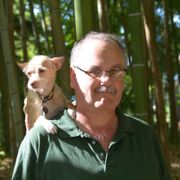 Certified dog trainer
