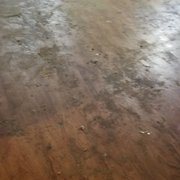 Gallery image #2