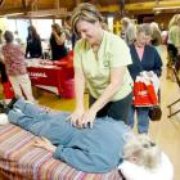 Bowenwork in action!  Senior Expo in Chico CA 2010