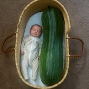 Midwife services in Grass Valley