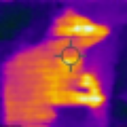 Raccoon detected with thermal imaging behind a wall.