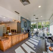 Reception Area