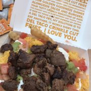 Carne asada fries
