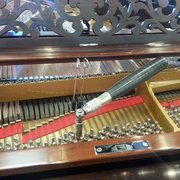 Need Expert Piano Tuning or Piano Service for your piano? Call Apollo Piano and make an appointment today! (530) 924-4469