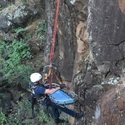 Animal Tecnical Rescue.