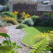 a view of a backyard garden