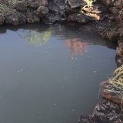 Pond