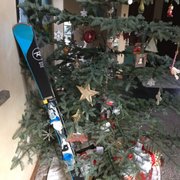 Ski is under the tree!