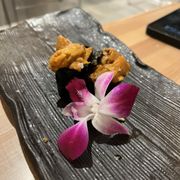 uni - sea urchin*