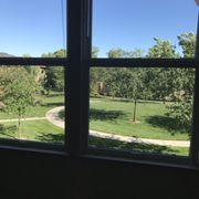 View from the bedroom