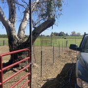 Non climb fence with t post