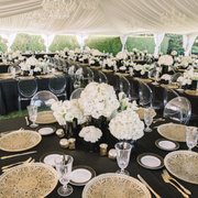 Elegant backyard wedding transformation!  Celebrations Party Rentals | Strelitzia Floral | The 530 Bride | Xsight Photography
