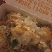 Carnitas fries