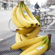 Grow Label bananas are the tastiest most ethically grown bananas on the planet. Organic and sustainably-grown food.