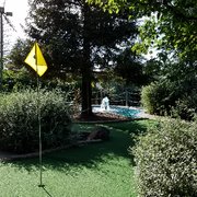 Hole #6 - new carpet - April 29th, 2016