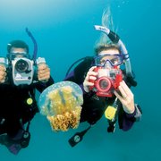 Digital Underwater Photography class