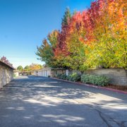 Garages available for an additional fee and deposit!