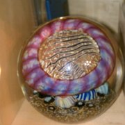 Sea anemone