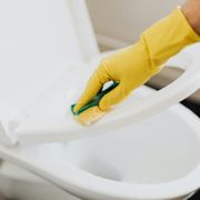 Turning your toilet into a sparkling clean oasis--fresh and spotless every time!
