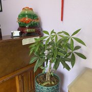 Gallery image #0