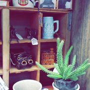 Vintage Ceramic Collection