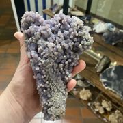 Gallery image #0