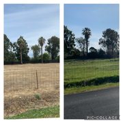 Some weed control work we have completed!