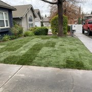 a freshly mowed lawn in front of a house