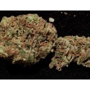 Mobile Dispensary