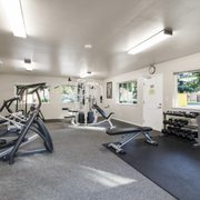 Gallery image #1
