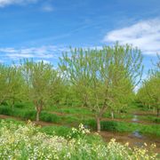 We support many industries, including Ag.