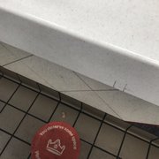 Used bandaid in front of register