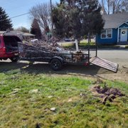 Got a downed tree? Give us a call!