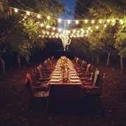 Orchard Dinner
 Photo by Poise Photography