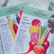 Plant Seeds